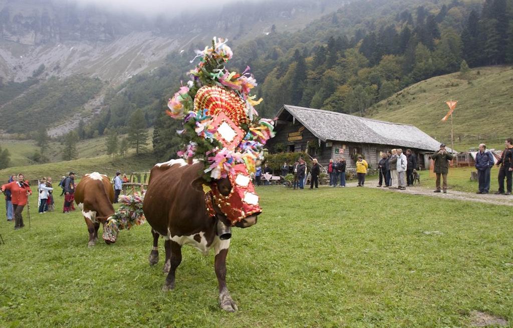 Haus Ebner Johann ヒンターゼー エクステリア 写真